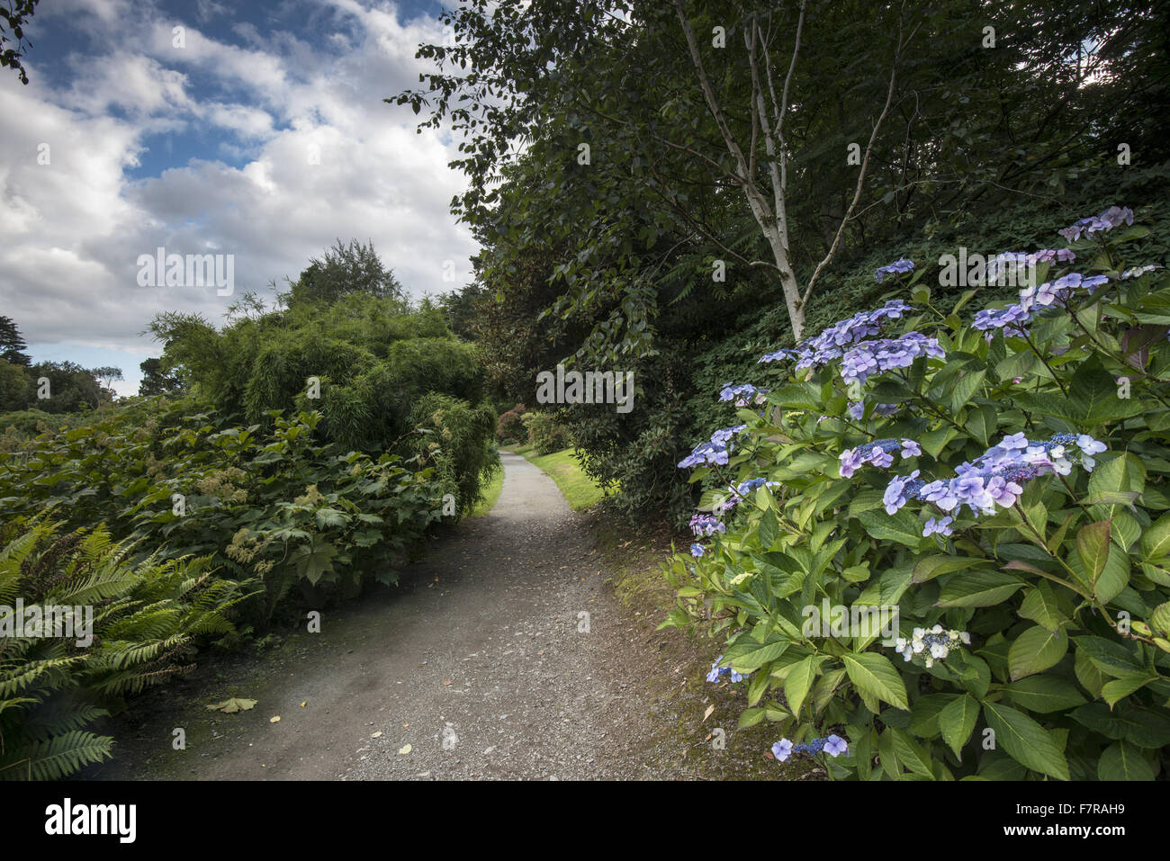 The garden at Mount Stewart House, Garden and Temple of the Winds, County Down. The gardens at Mount Stewart are world famous for their grandeur and bold planting schemes. Stock Photo