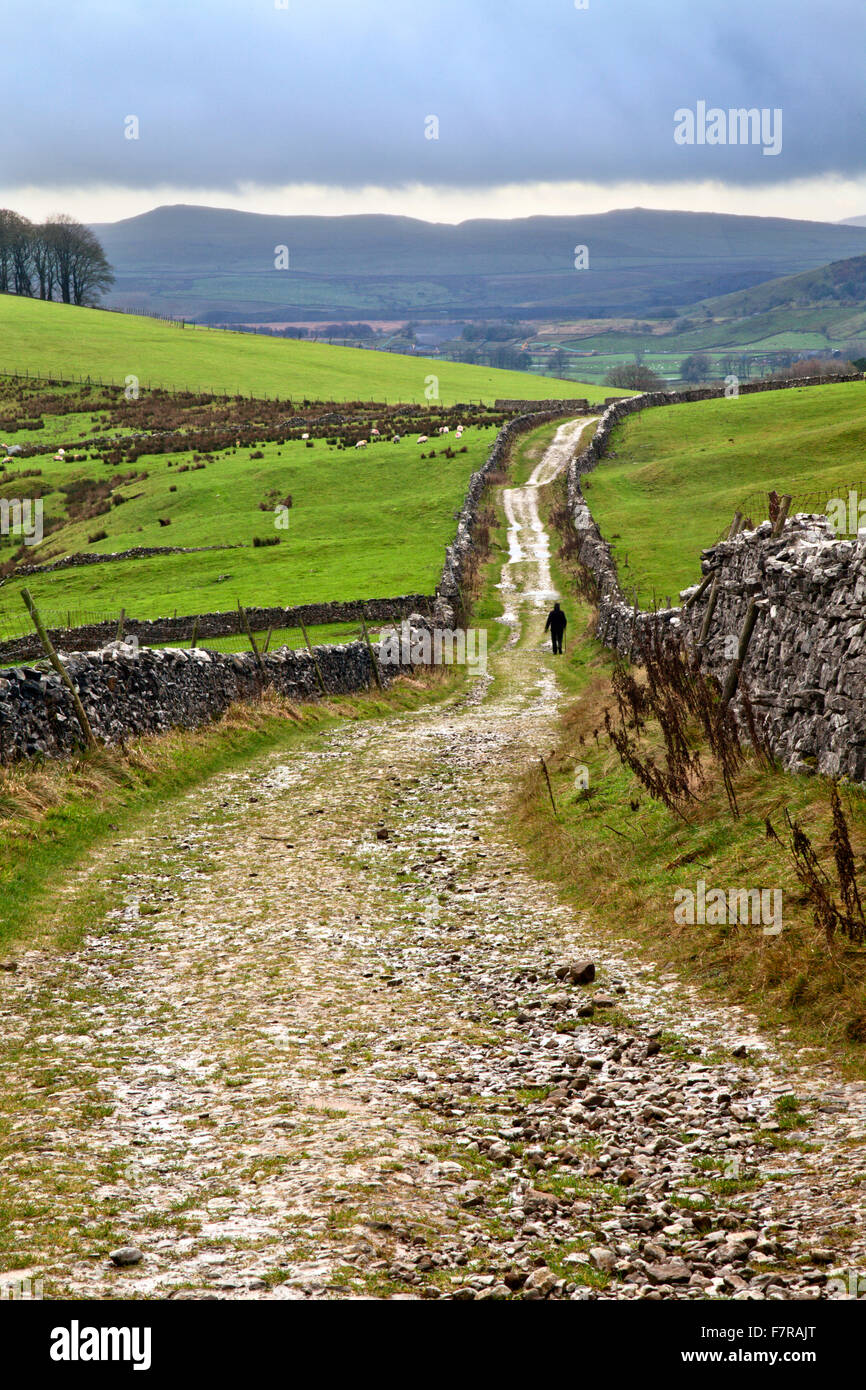 Lone Walker on Horton Scar Lane near Horton in Ribblesdale North