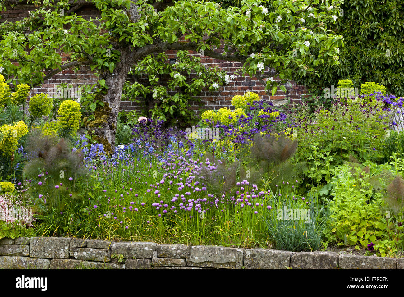 English walled garden in spring hi-res stock photography and images - Alamy