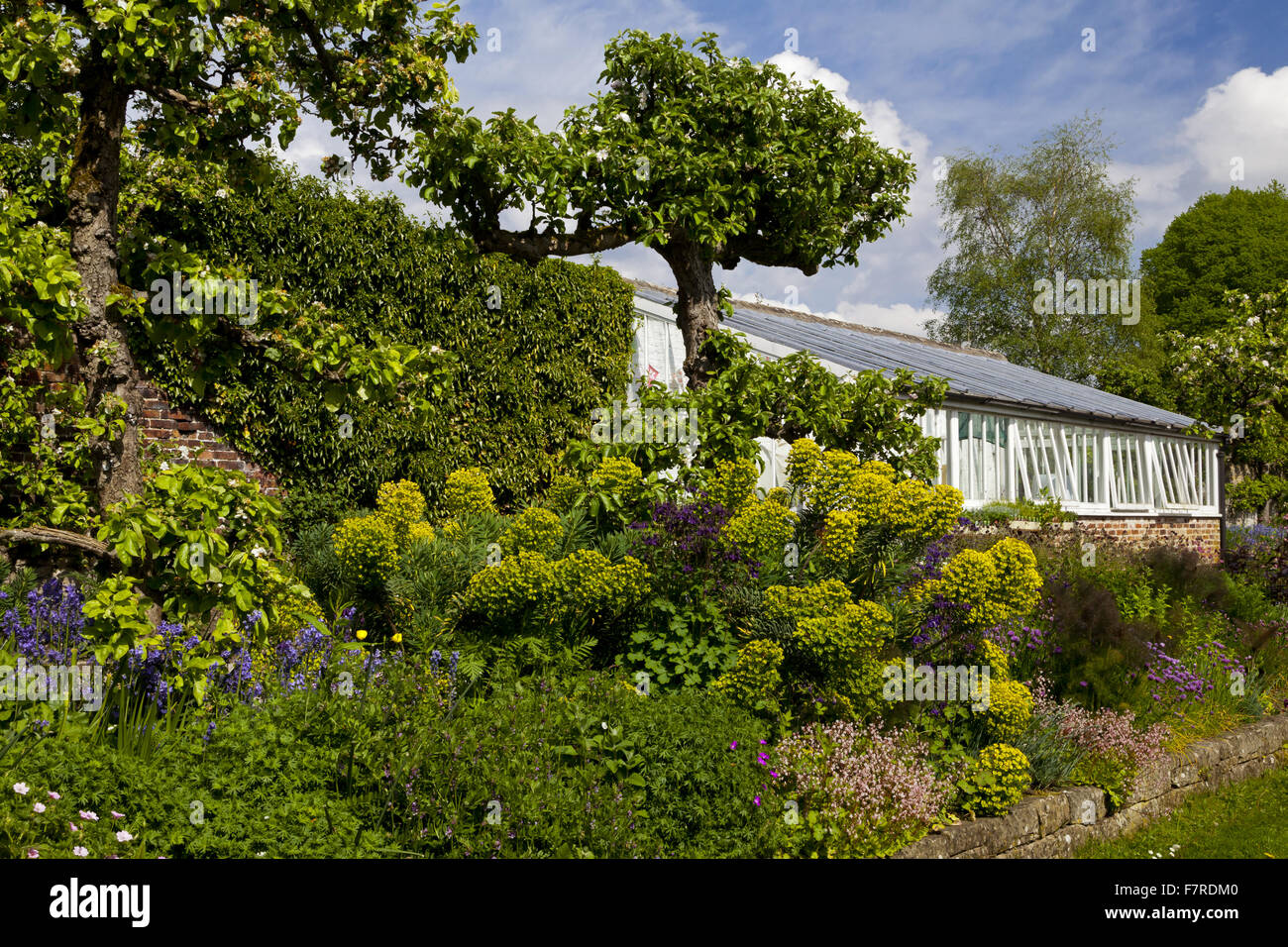 The greenhouse in the garden at Eyam Hall and Craft Centre, Derbyshire. Eyam Hall is an unspoilt example of a gritstone Jacobean manor house, set within a walled garden. Stock Photo