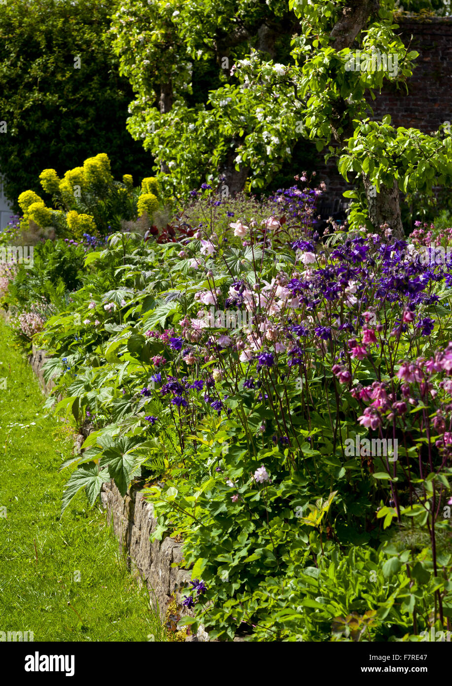A border in spring in the garden at Eyam Hall and Craft Centre, Derbyshire. Eyam Hall is an unspoilt example of a gritstone Jacobean manor house, set within a walled garden. Stock Photo