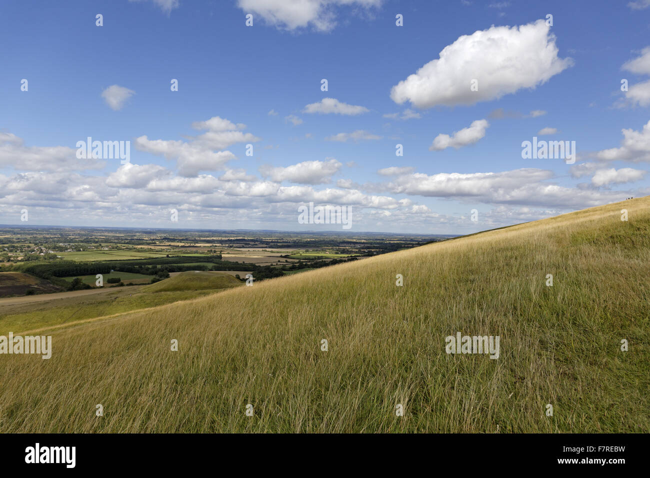 View across the chalk grassland, looking towards the Vale of the White Horse, from White Horse Hill, Uffington, Oxfordshire. Stock Photo