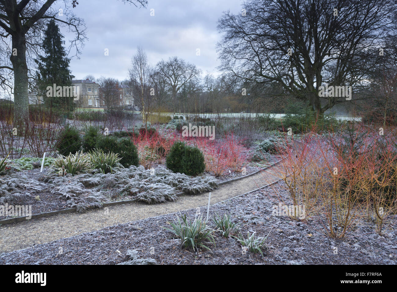 The gardens at Mottisfont, Hampshire, in the winter. The garden features ancient trees, babbling brooks and rolling lawns. Stock Photo