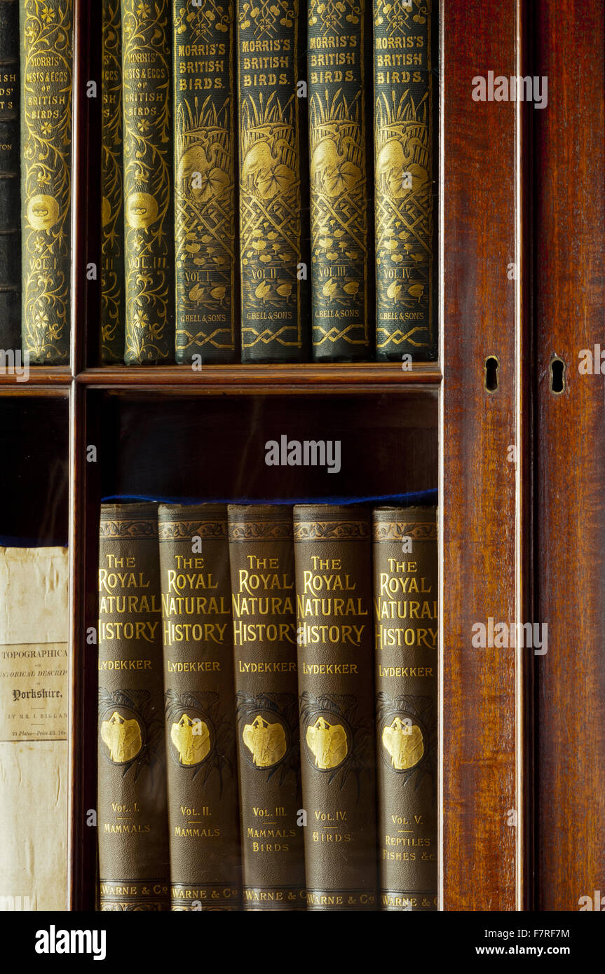 Detail of the Library at Eyam Hall and Craft Centre, Derbyshire. Eyam Hall is an unspoilt example of a gritstone Jacobean manor house, set within a walled garden. Stock Photo