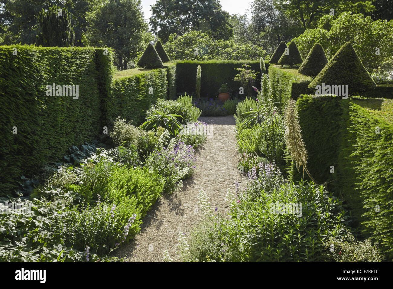 The garden at Fenton House and Garden, London. Fenton House was built in 1686 and is filled with world-class decorative and fine art collections. The gardens include an orchard, kitchen garden, rose garden and formal terraces and lawns. Stock Photo