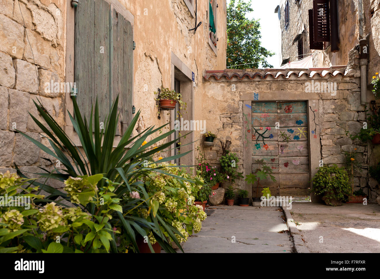 Wooden doors with flower pots in mediterranean town Buzet, Istria, Croatia Stock Photo