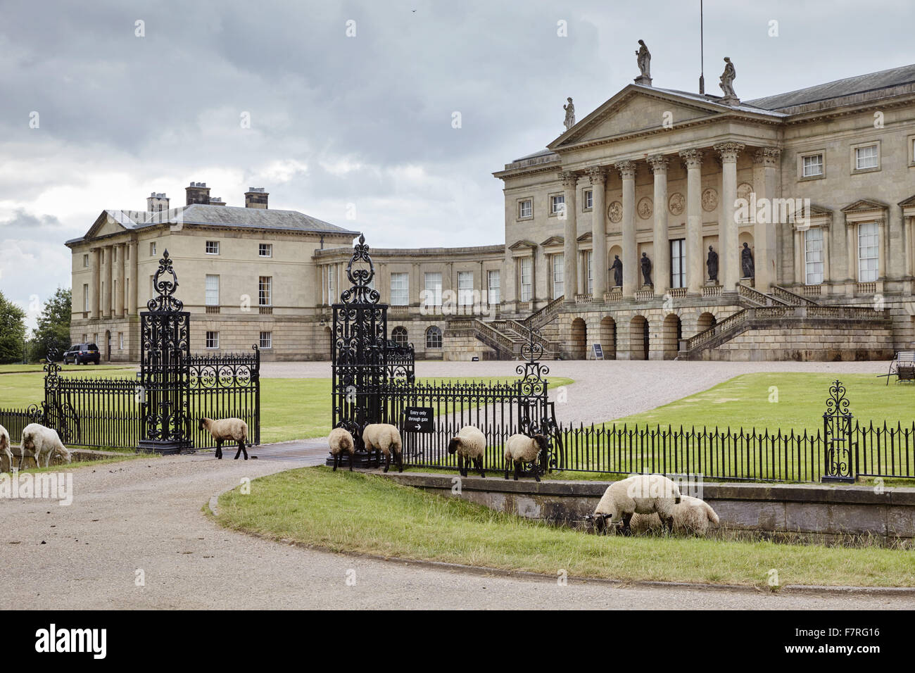 Sheep At Kedleston Hall Derbyshire Kedleston Is One Of The Grandest And Most Perfectly Finished Houses Designed By Robert Adams Stock Photo Alamy Sheep At Kedleston Hall Derbyshire Kedleston Is One Of The Grandest And Most Perfectly Finished Houses Designed By Robert Adams Stock Photo Alamy