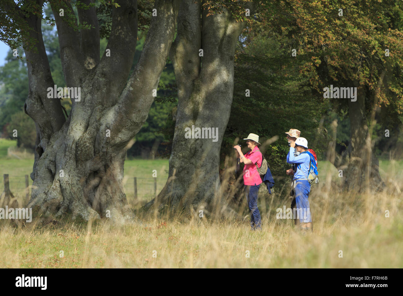 Visitors in the Stonehenge Landscape, Wiltshire. The landscape is studded with ancient monuments. Stock Photo
