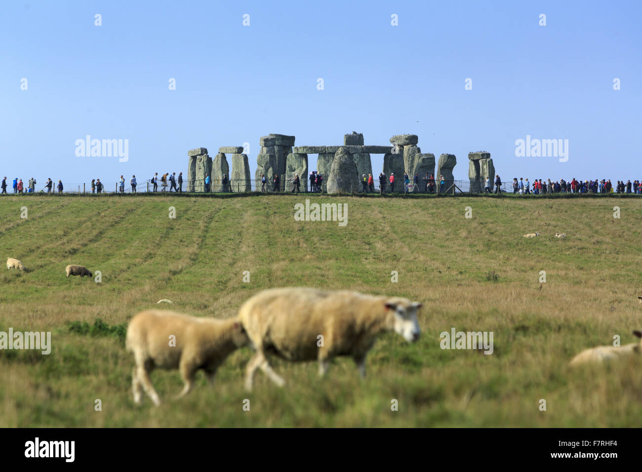 The Avenue at the Stonehenge Landscape, Wiltshire. The landscape is studded with ancient monuments. Stock Photo