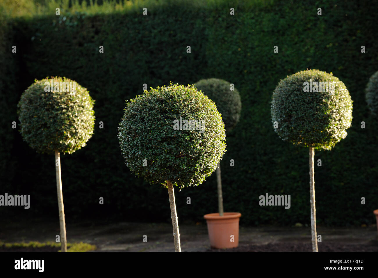 Dyffryn Gardens, Vale of Dyffryn has one of the best