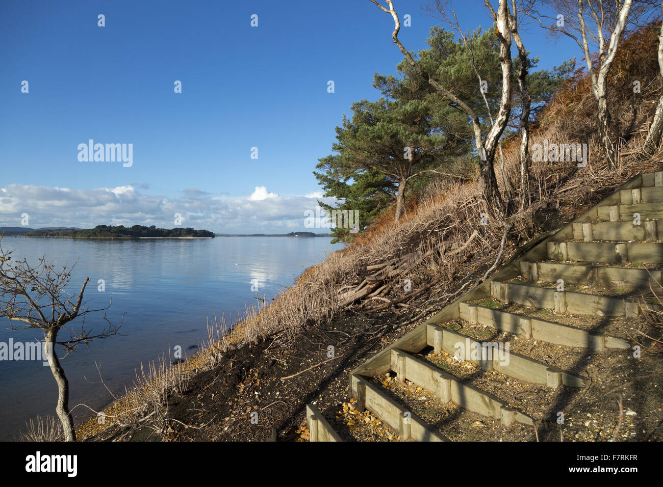 The south shore of Brownsea Island, Dorset. This island wildlife sanctuary is a haven for wildlife such as red squirrels and a huge variety of birds. Stock Photo