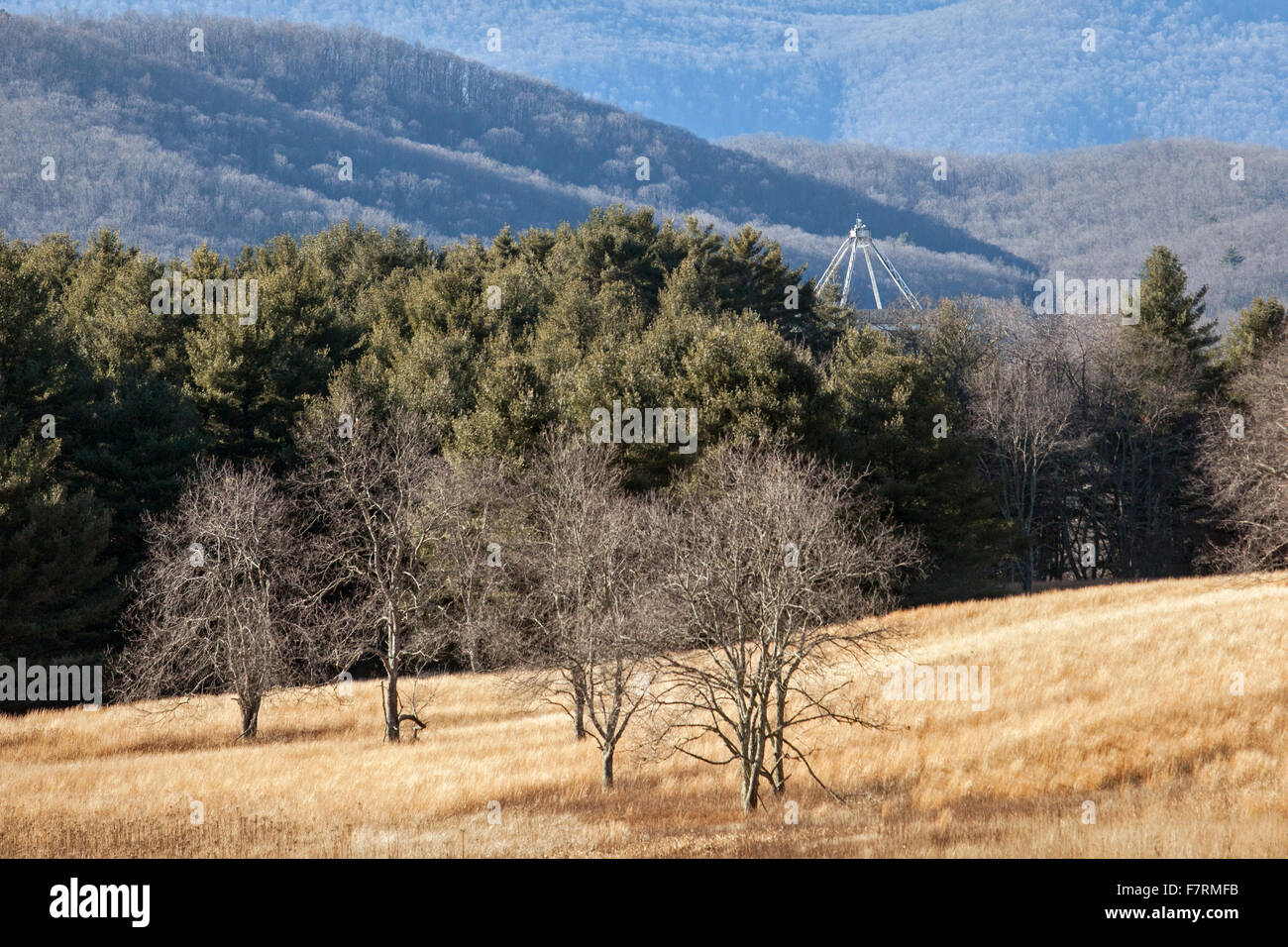 Green Bank, West Virginia A radio telescope peaks above the trees at