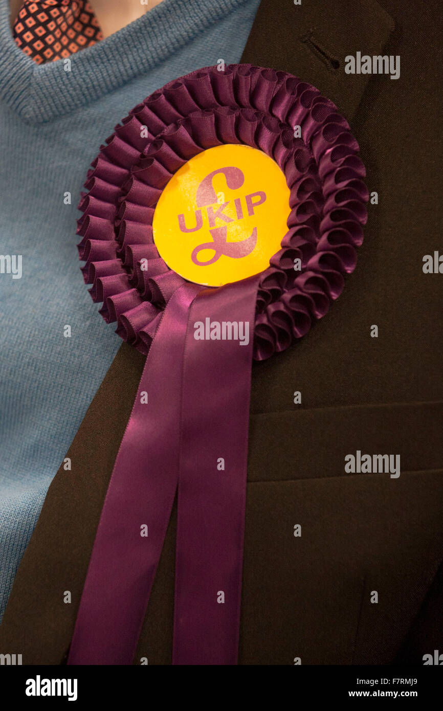A rosette on the jacket of John Bickley of UKIP, the UK Independence Party, candidate in the forthcoming Oldham West and Royton by-election, pictured on a visit to Oldham College, where he toured the facilities and talked to students along with party leader Nigel Farage. Stock Photo