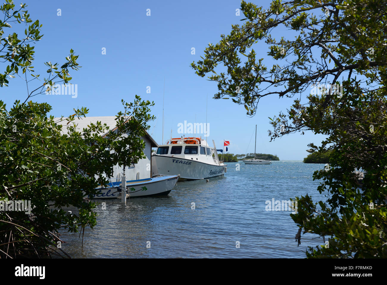 Boats docked at La Parguera. Lajas, Puerto Rico. Caribbean Island. USA