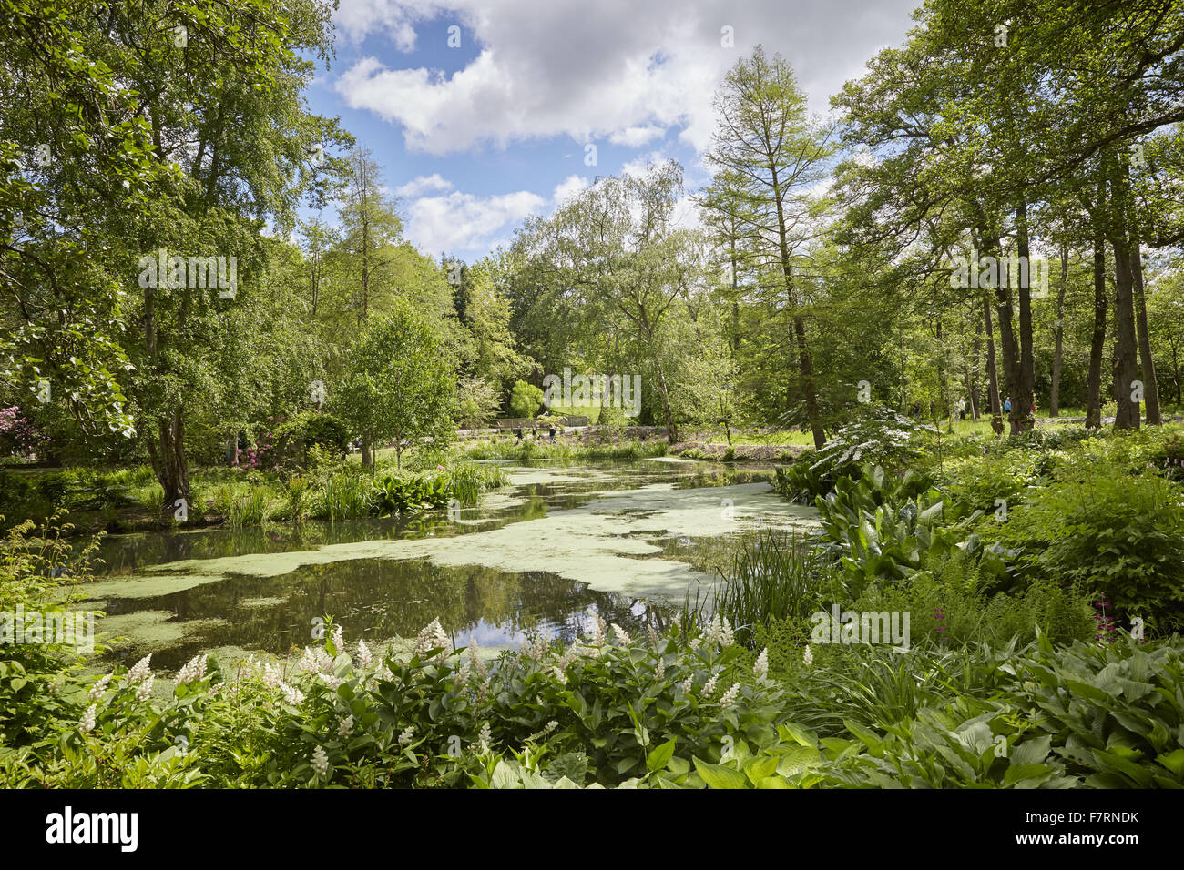 Bodnant Garden, Clwyd, Wales. Bodnant is a breathtaking garden with grand terraces and views of Snowdonia. Stock Photo