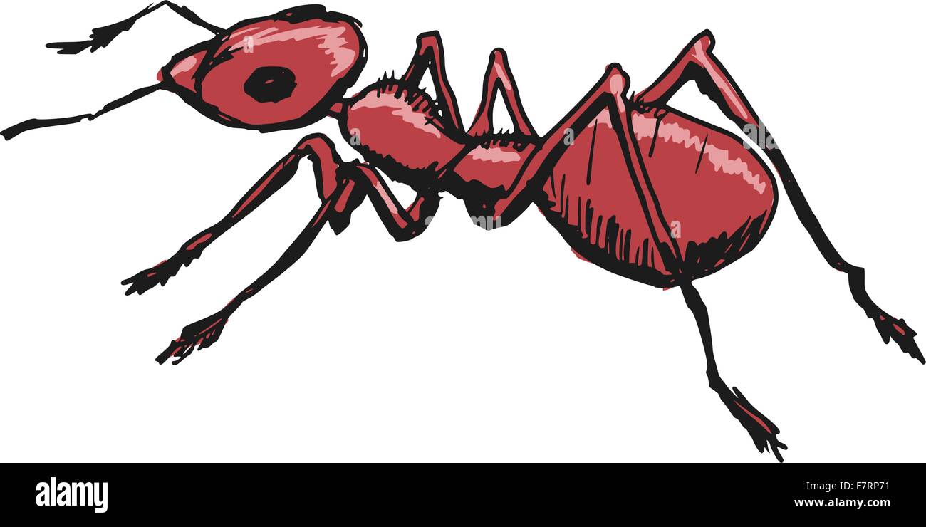 red ant Stock Vector
