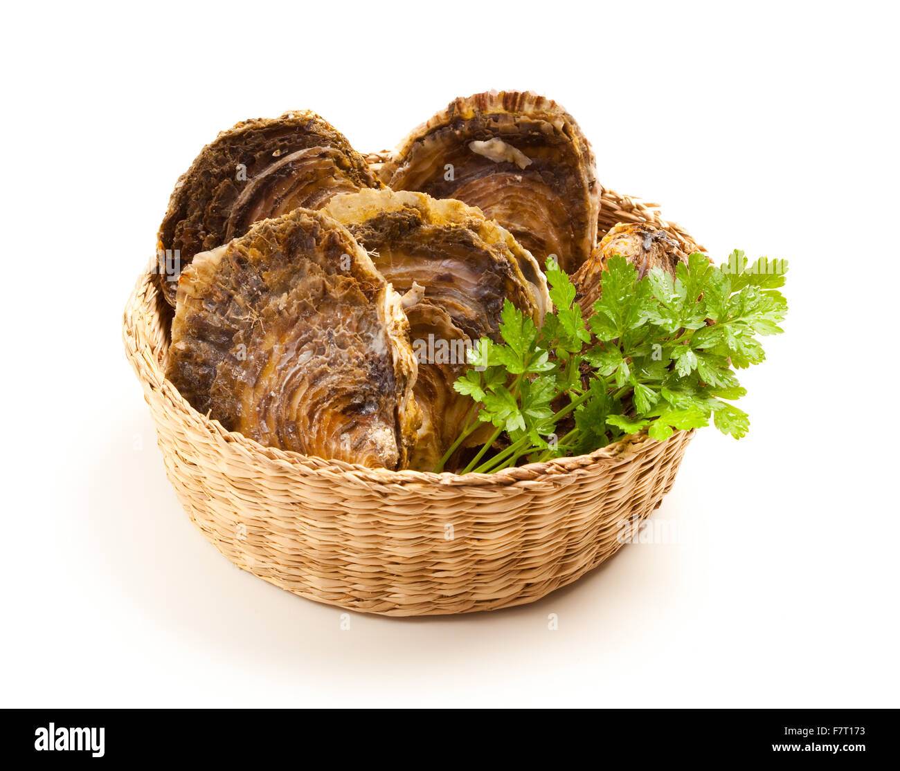 Oysters in a basket with parsley. Stock Photo