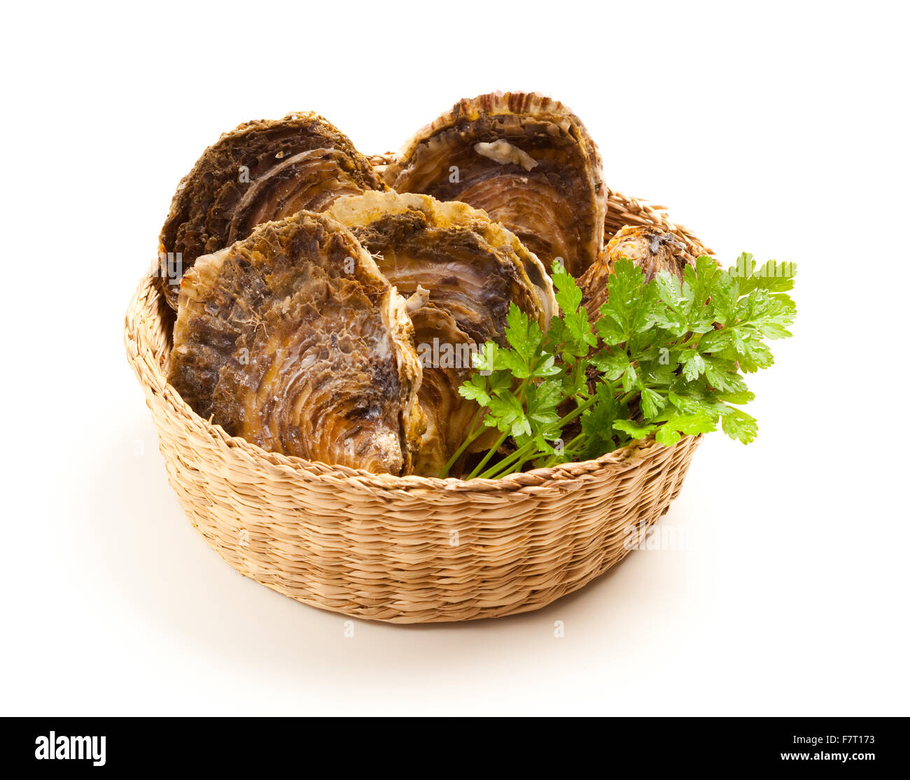 Edible oyster ostrea edulis hires stock photography and images Alamy