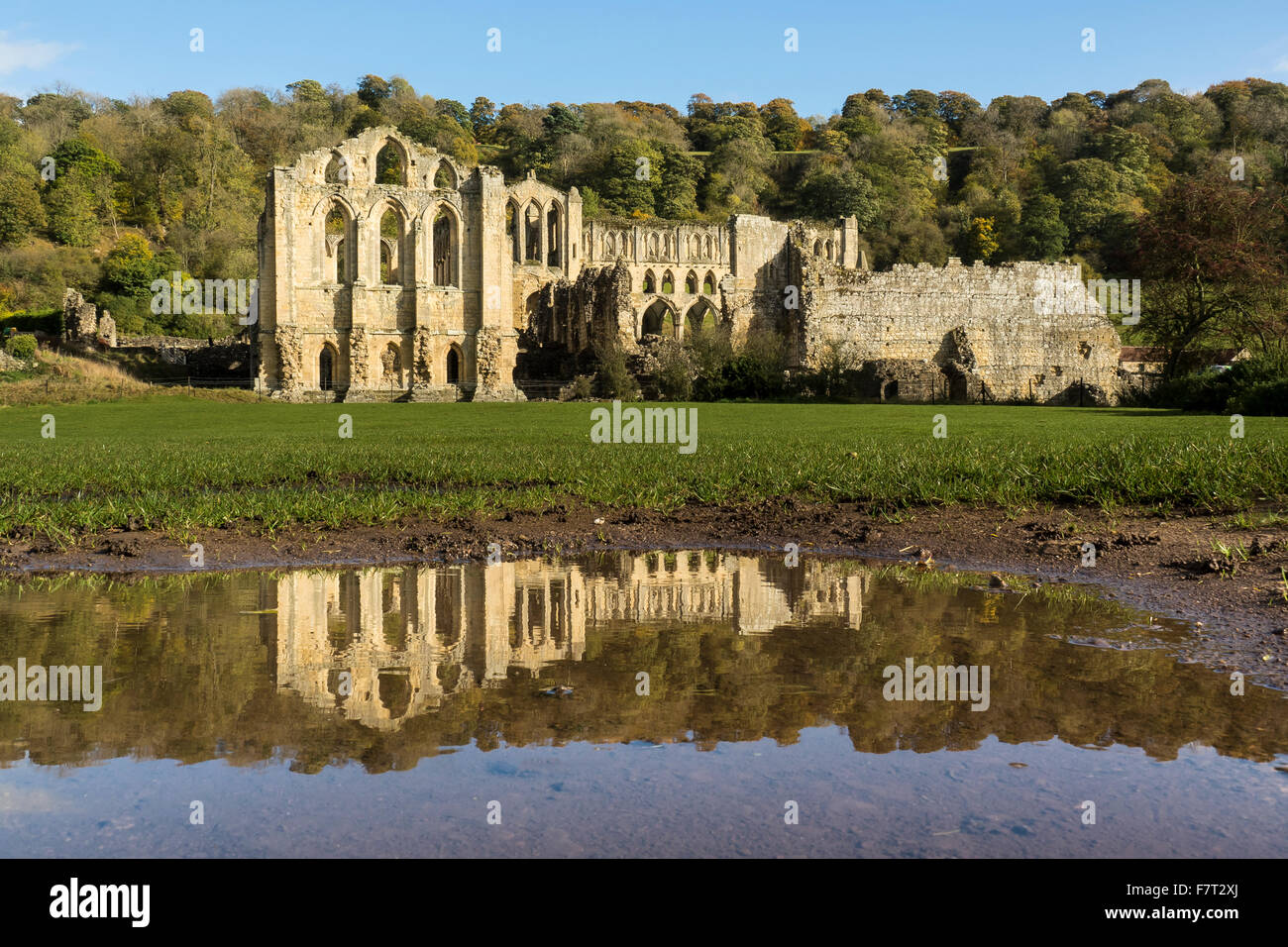 Reflections of Rievaulx Abbey in Pond, Ryedale, North Yorkshire Stock Photo