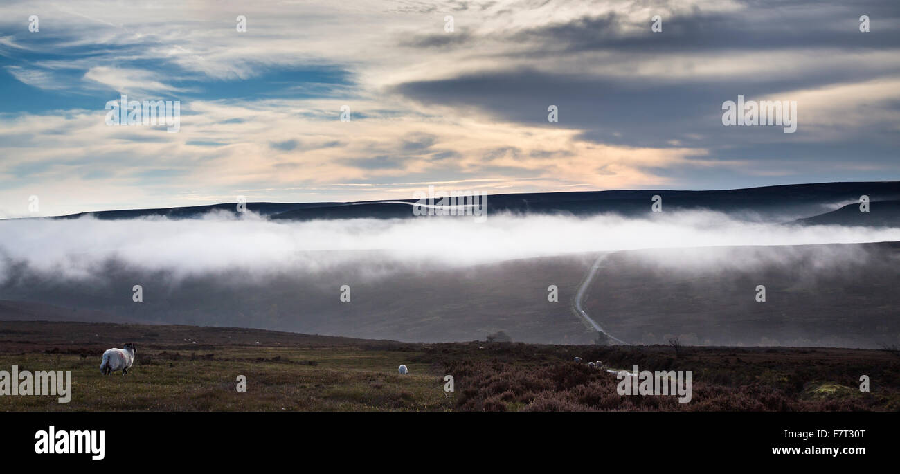 The Road to Westerdale in Mist, North York Moors National Park Stock Photo