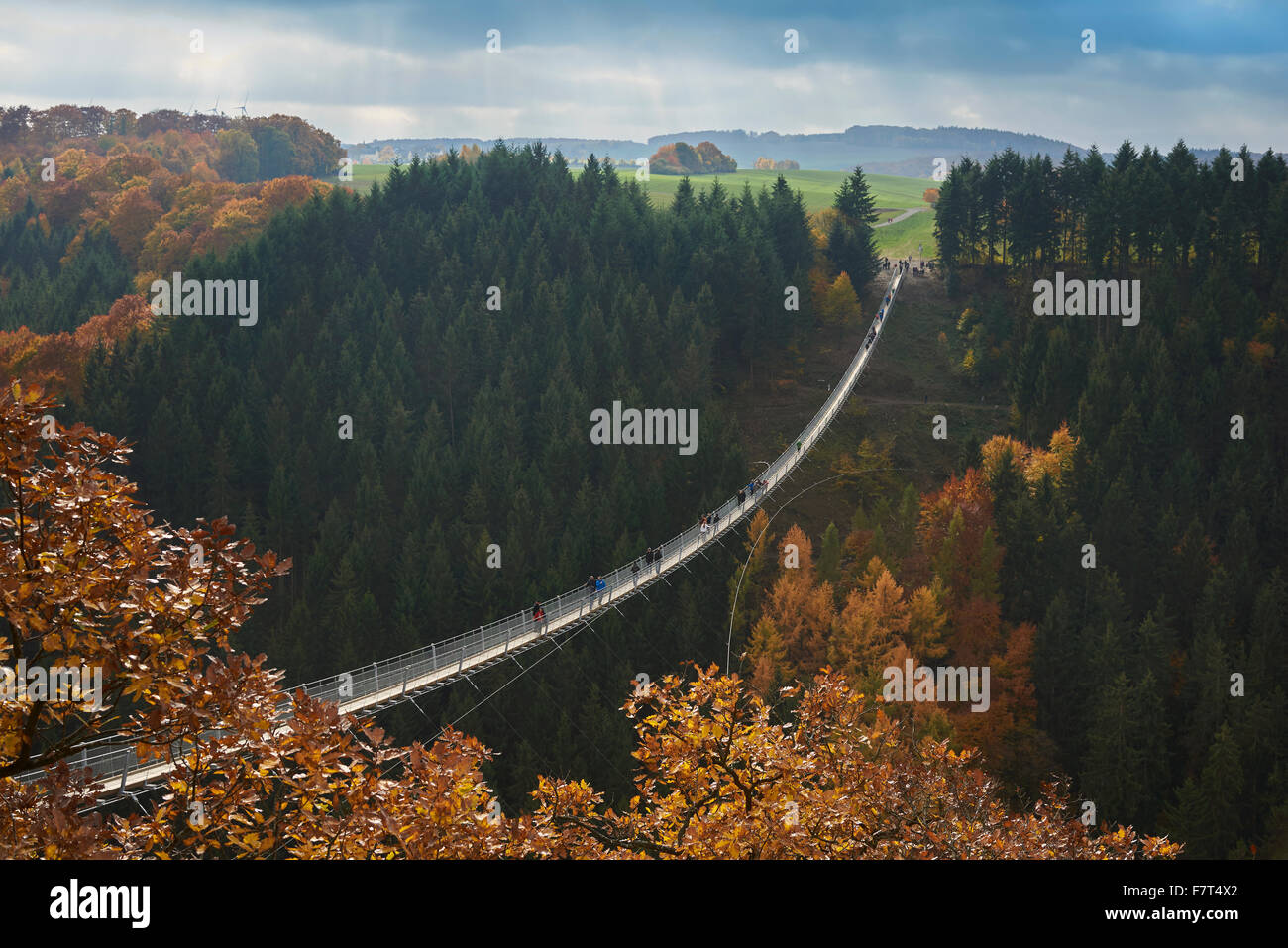 Hängeseilbrücke geierlay hi-res stock photography and images - Alamy