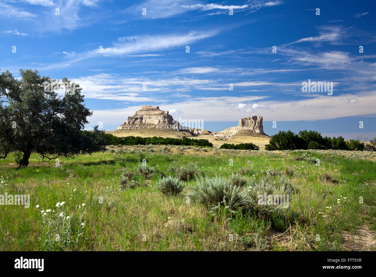 Sidney deadwood hires stock photography and images Alamy