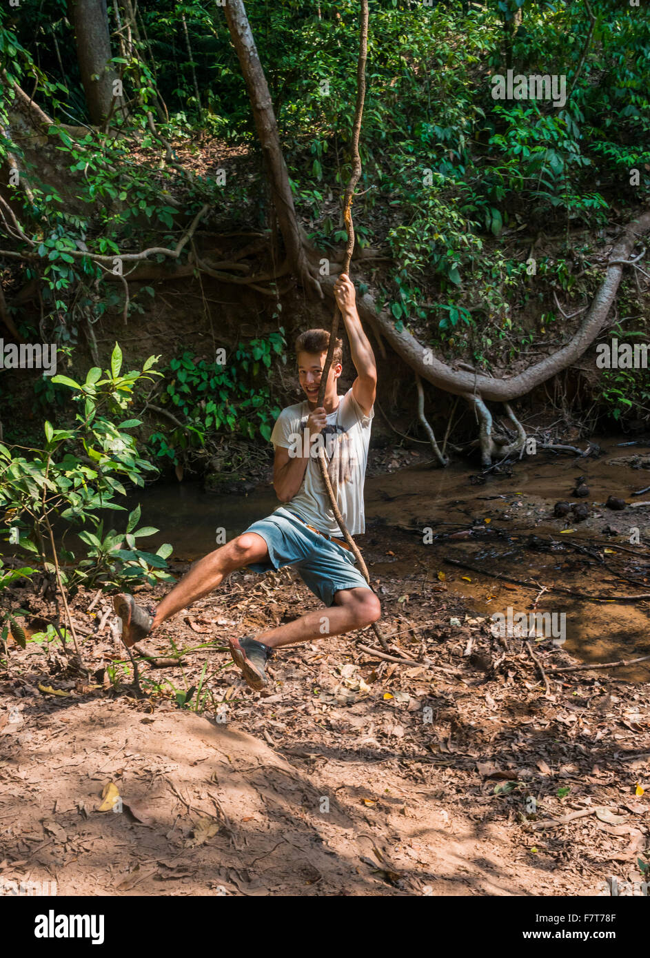 Young man, tourist swinging on a vine in the jungle, tropical rain forest, Taman Negara, Malaysia Stock Photo
