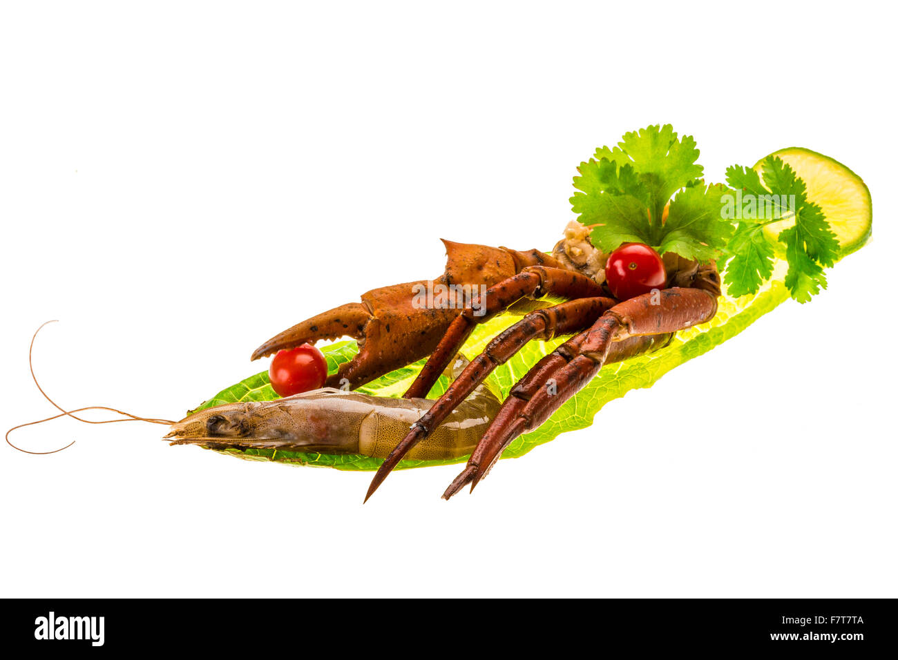 Crab legs studio macro shoot Stock Photo Alamy