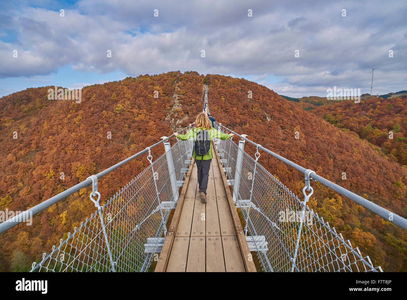 Suspension bridge over Geierlay Mörsdorfer Bachtal, Mörsdorf, Hunsrück ...