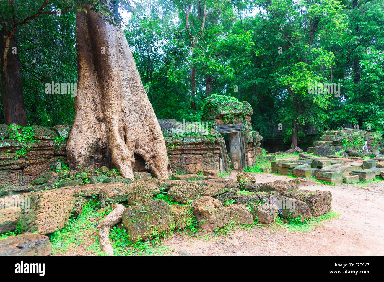 Angkor Wat - Cambodian famous hisotical complex Stock Photo - Alamy