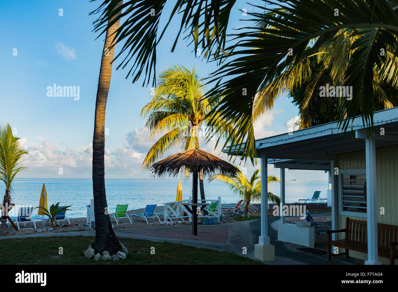 US Virgin Islands, Palapa, beach chairs, beach umbrellas, palm trees, Caribbean sea from a resort on St. Croix, U.S. Virgin Islands. USVI, U.S.V.I. Stock Photo