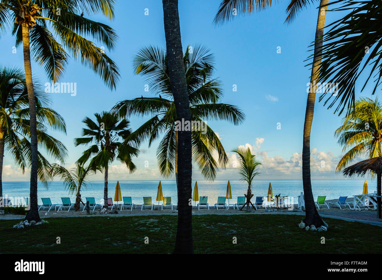 A view of the palm-lined beach and Caribbean sea during the evening from a resort on St. Croix, U.S. Virgin Islands. USVI, U.S.V.I. Stock Photo