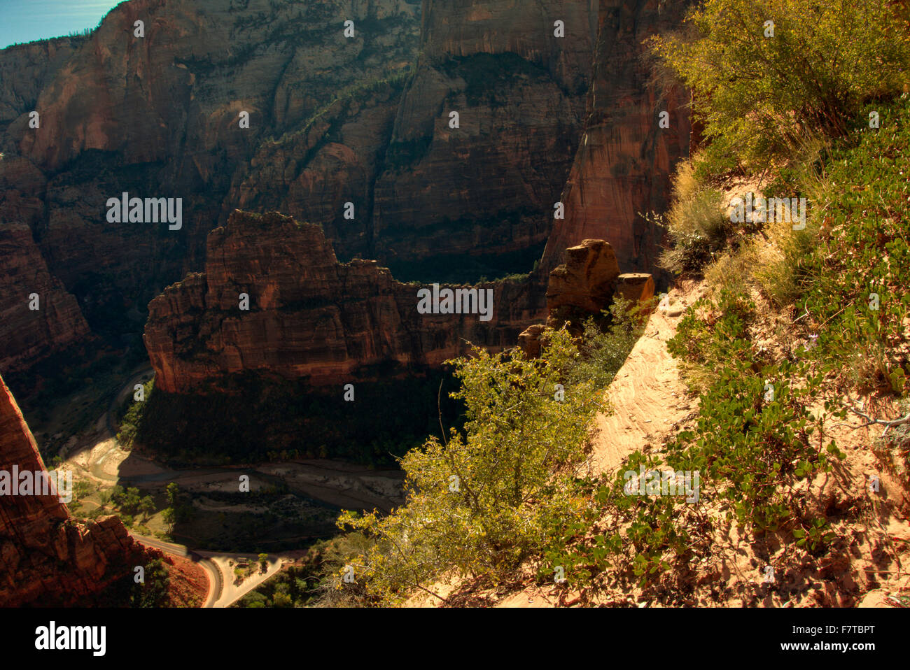 Zion Natonal Park- One of the wider sections of the Angel's Landing Trail. The Virgin River is visible at the canyon floor. Stock Photo