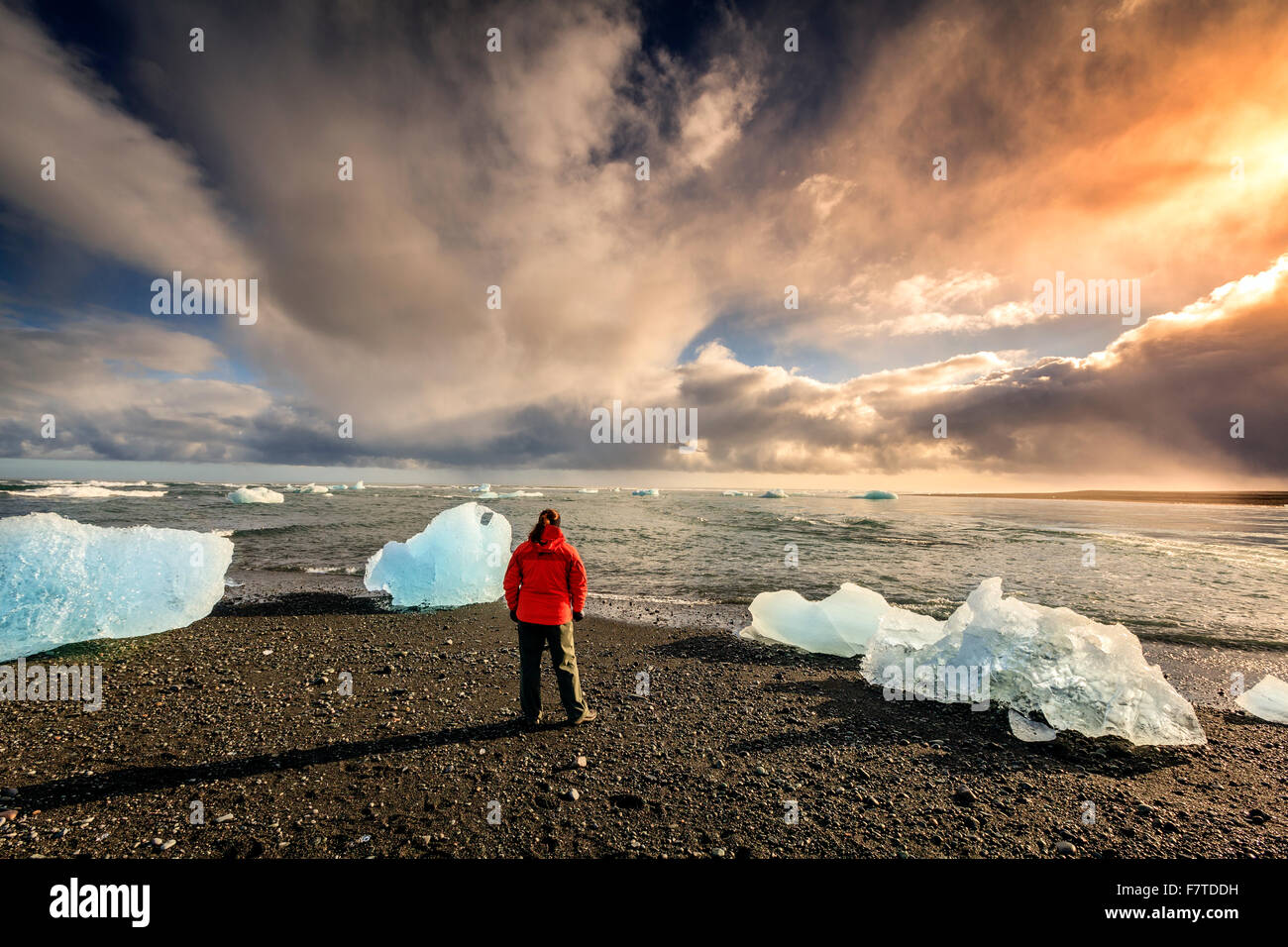 Tourist standing among ice pieces on a beach in southern Iceland Stock Photo