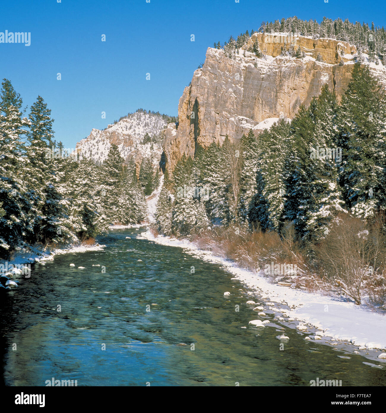 gallatin river canyon in winter below squaw creek near gallatin Stock
