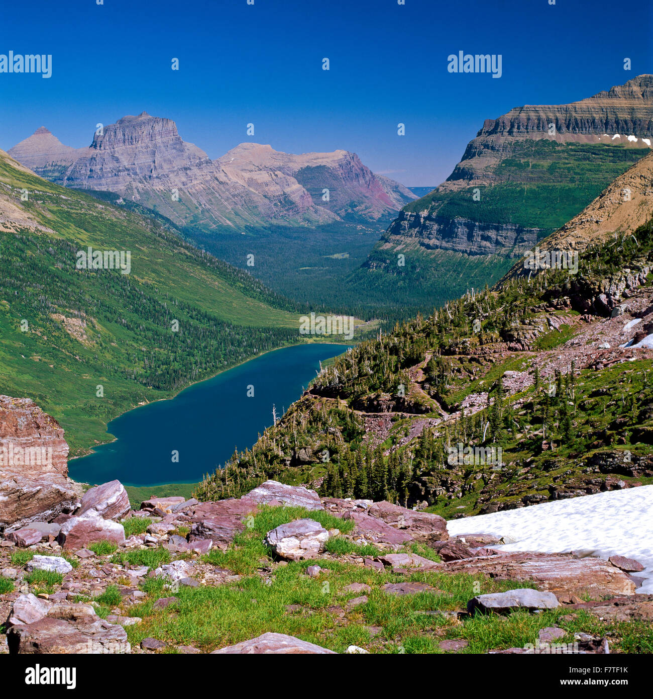 gunsight lake and peaks above the saint mary river valley viewed from gunsight pass in glacier