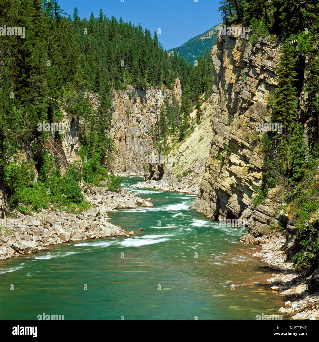 wild and scenic south fork flathead river in a canyon above hungry horse reservoir in northwest montana Stock Photo