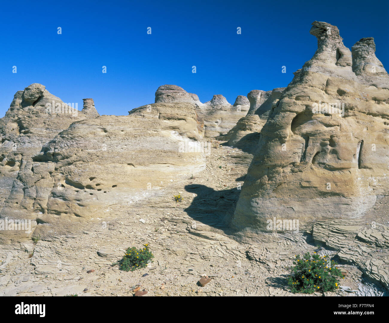 sandstone hoodoos near valier, montana Stock Photo Alamy