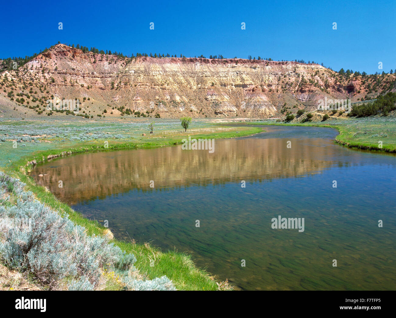 tongue river in a canyon below the tongue river reservoir near decker, montana Stock Photo Alamy