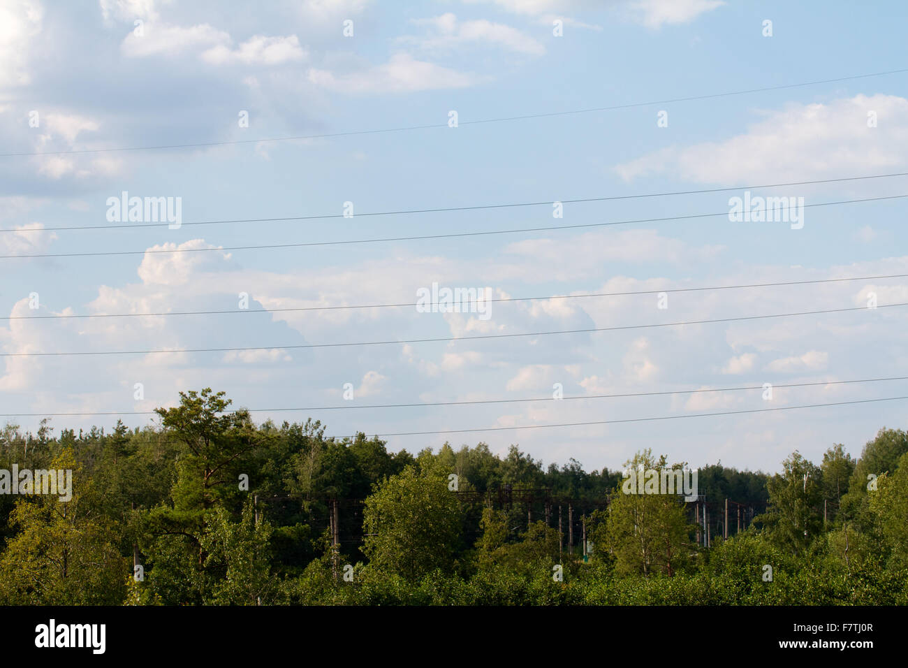 Russia aging boreal branch hi-res stock photography and images - Alamy