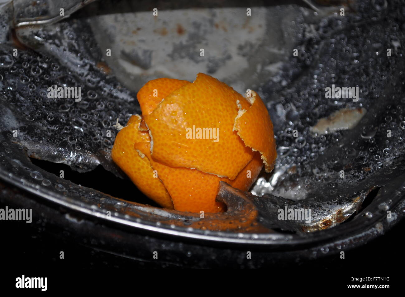 A close up of orange peel laying on a wet oil drum Stock Photo