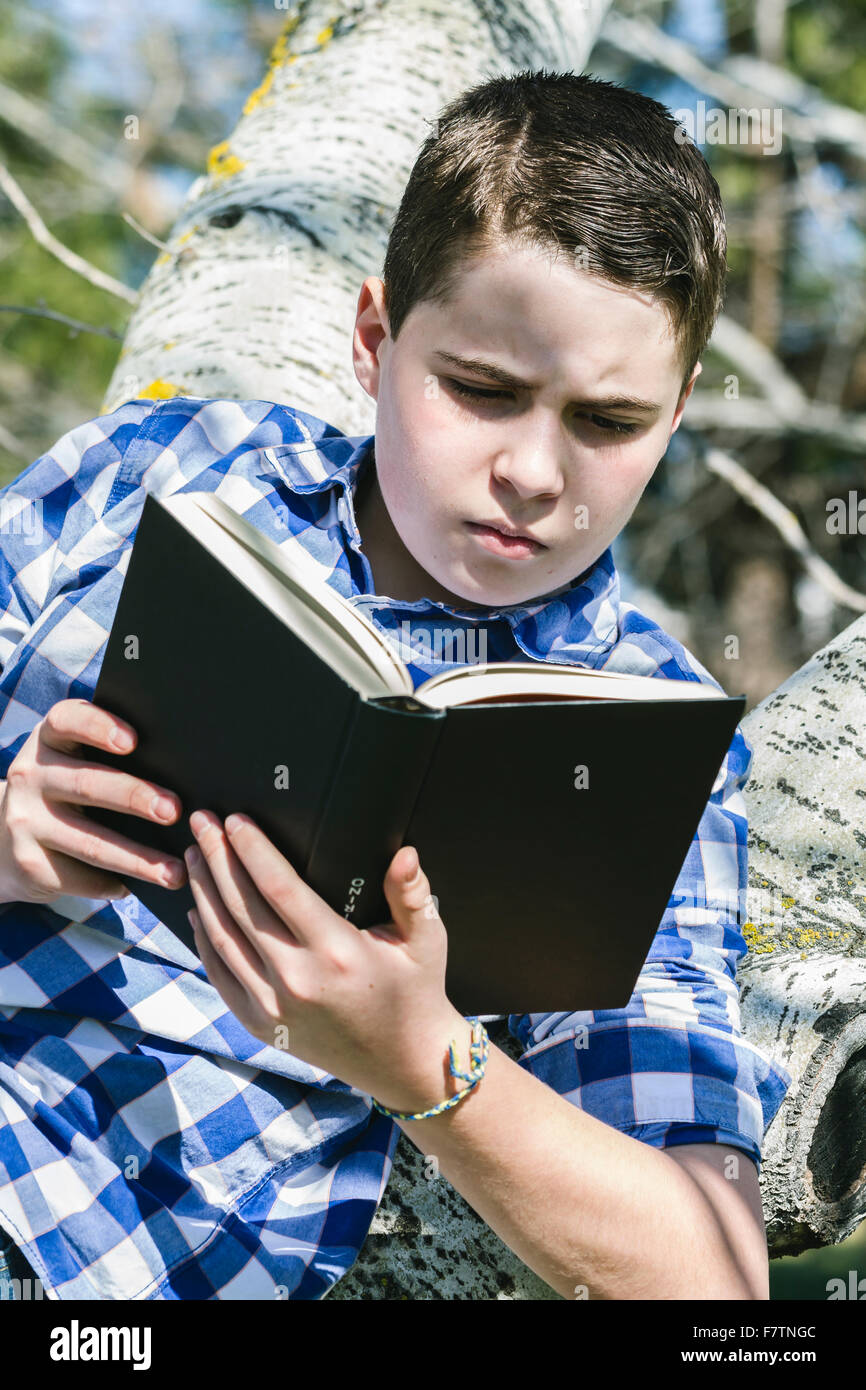 Shallow Reading Young boy reading a book in the woods with shallow depth of field and ...