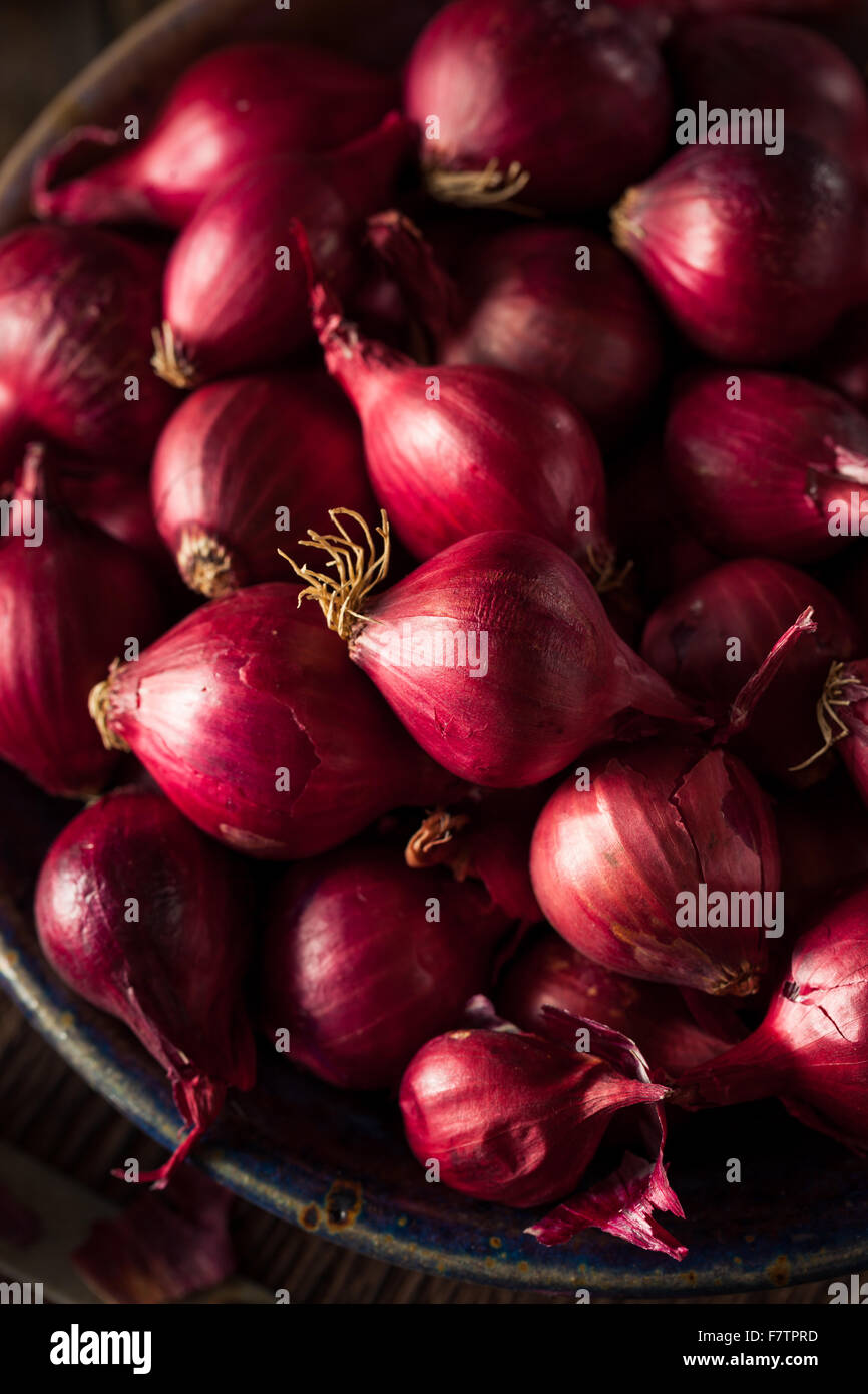 Organic Red Pearl Onions in a Bowl Stock Photo Alamy