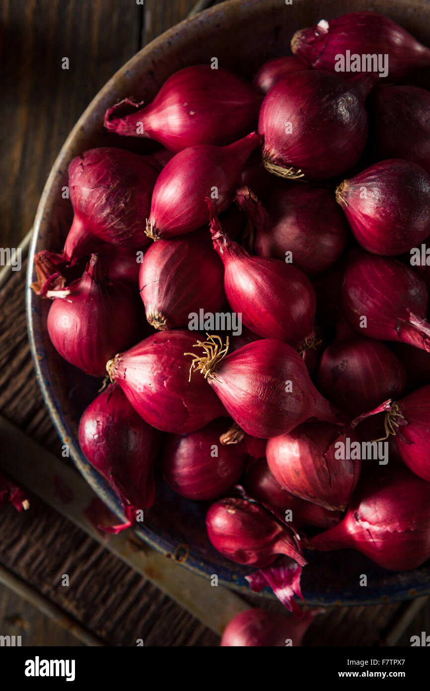 Shallots Stock Photos and Images - 123RF