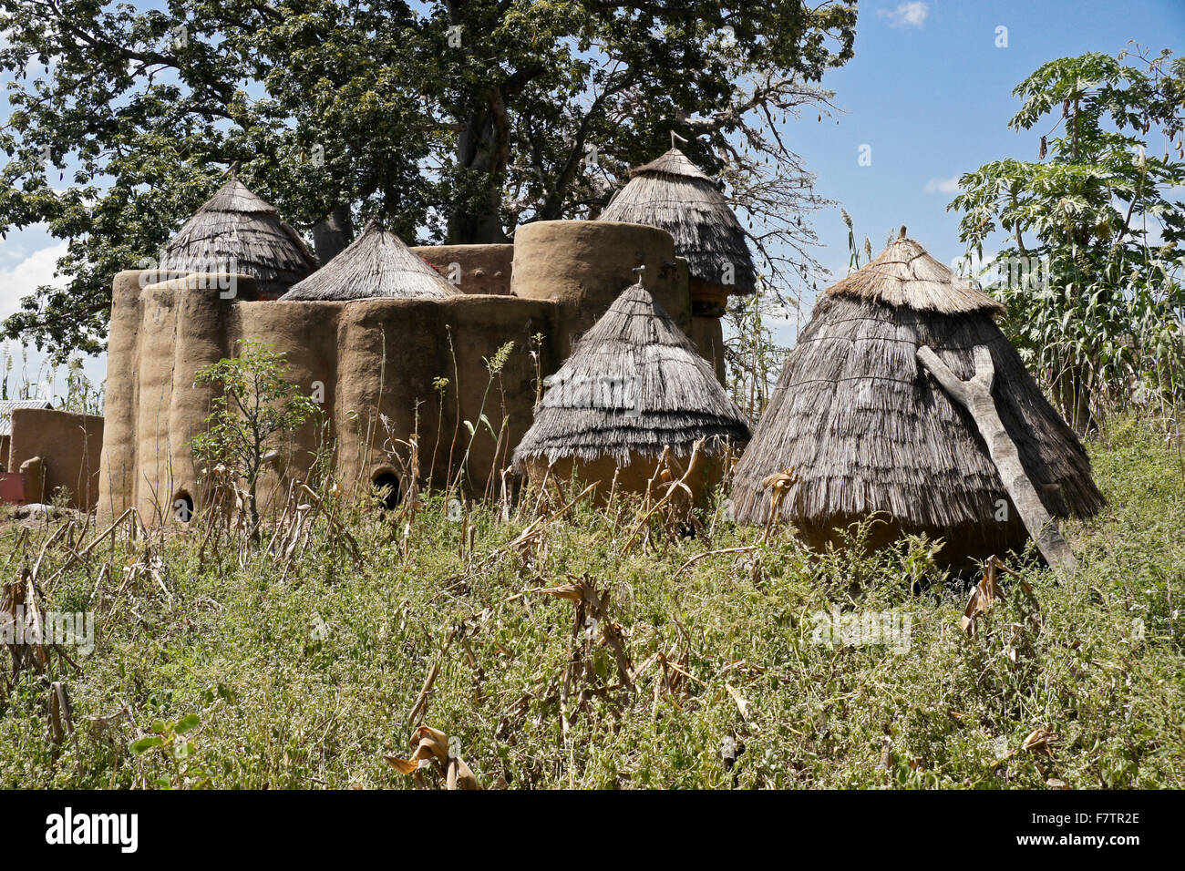 Africa west africa togo thatched hires stock photography and images
