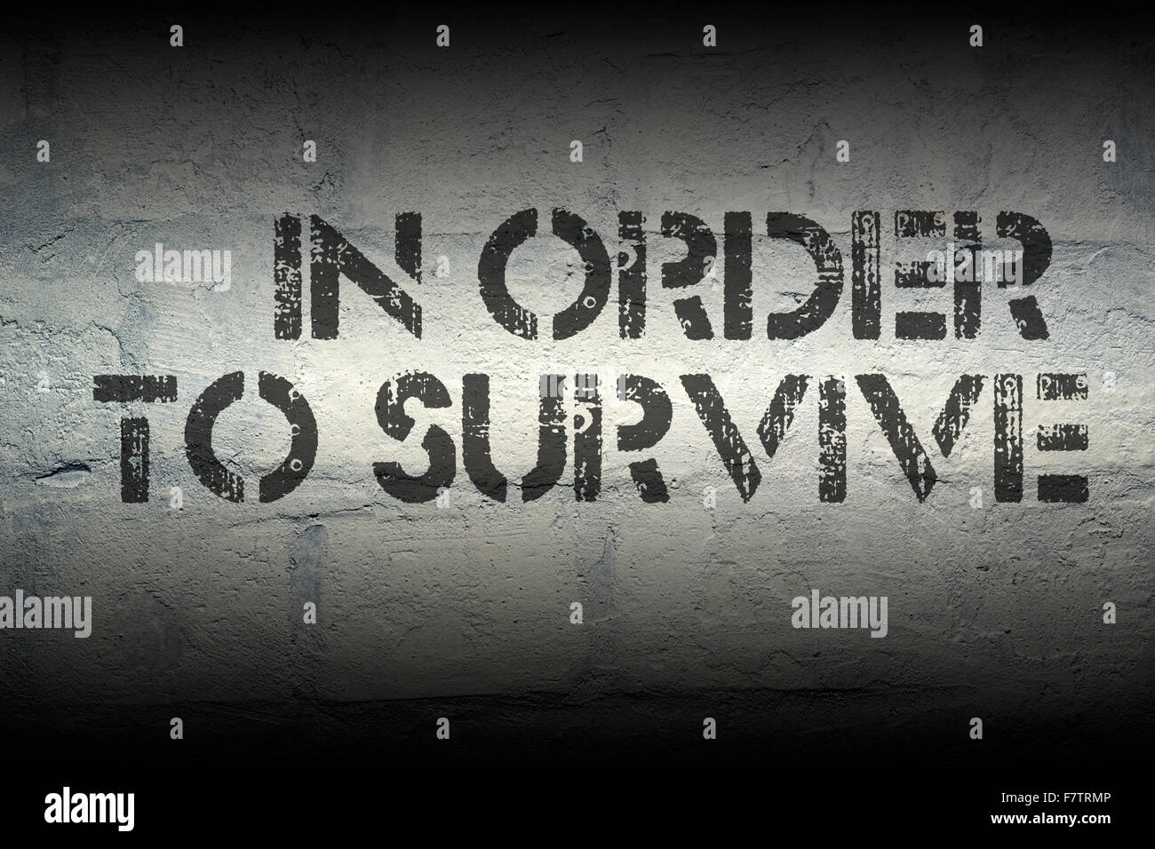 in order to survive stencil print on the grunge white brick wall Stock Photo