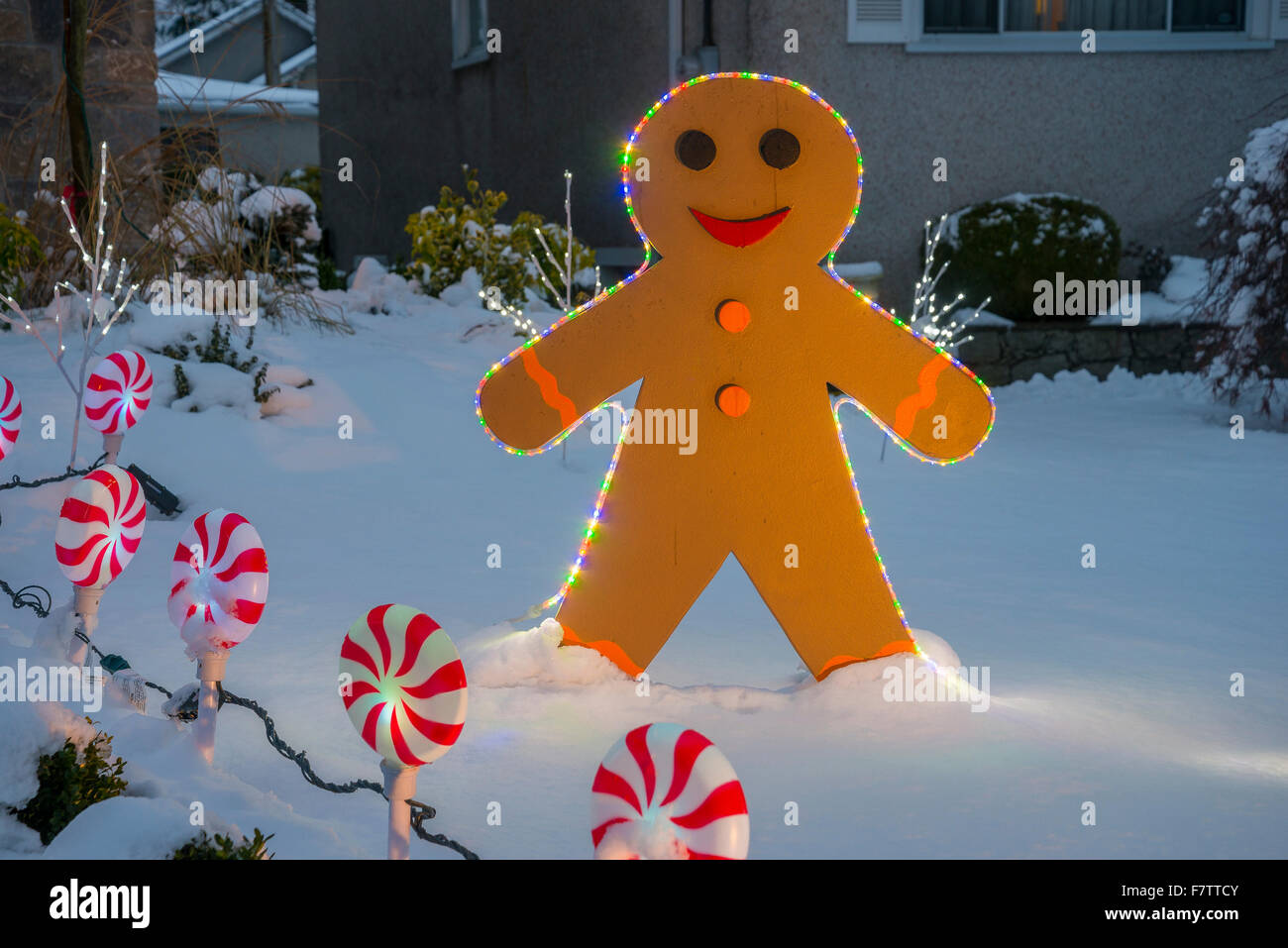 Gingerbread man, Christmas Lights Stock Photo Alamy
