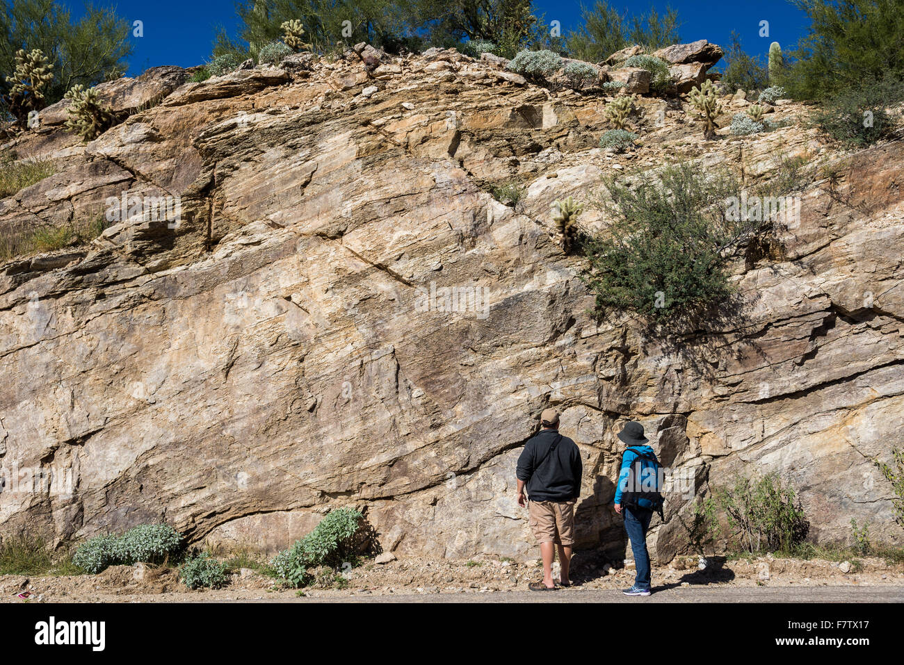 Geologists study rock outcrops at Mount Lemmon, Tucson, Arizona, USA. Stock Photo