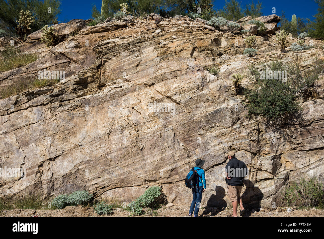 Geologists study rock outcrops at Mount Lemmon, Tucson, Arizona, USA. Stock Photo