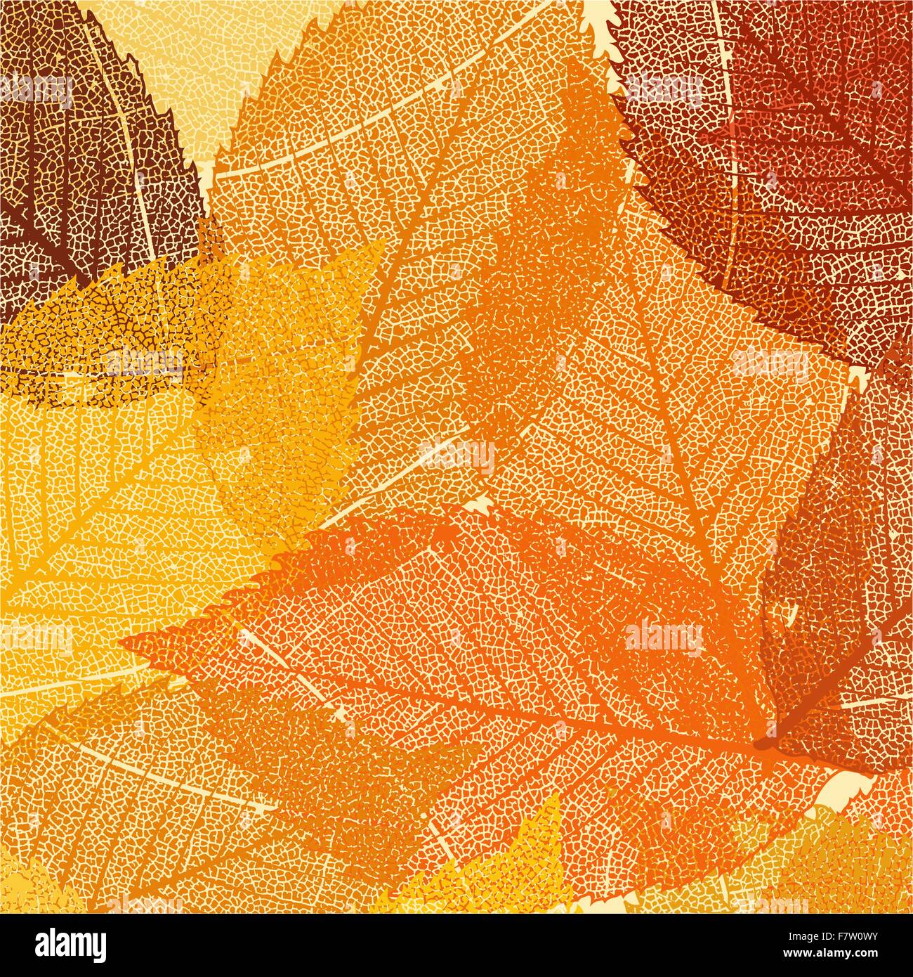 Dry autumn leaves template. EPS 8 Stock Vector
